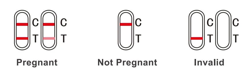 Singclean Wholesale Ivd CE Approved Medical Homely Pregnancy Test for Travel