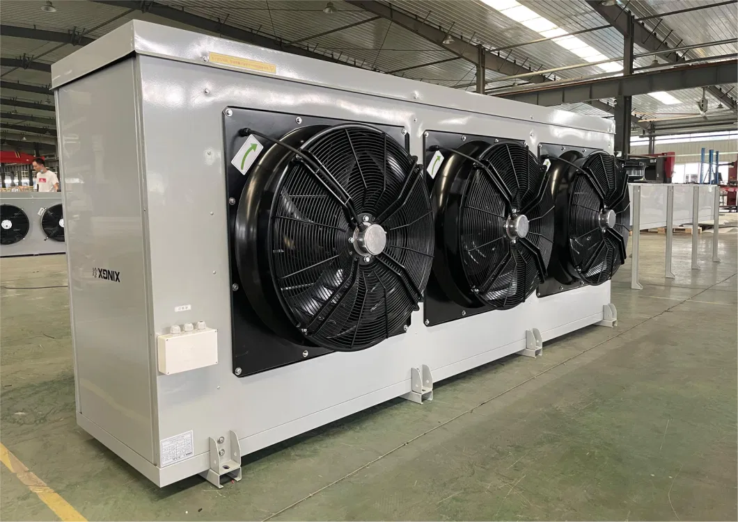 Xingxing Reliable and Good Quality Medical Cold Storage Cold Room Walk in Chiller