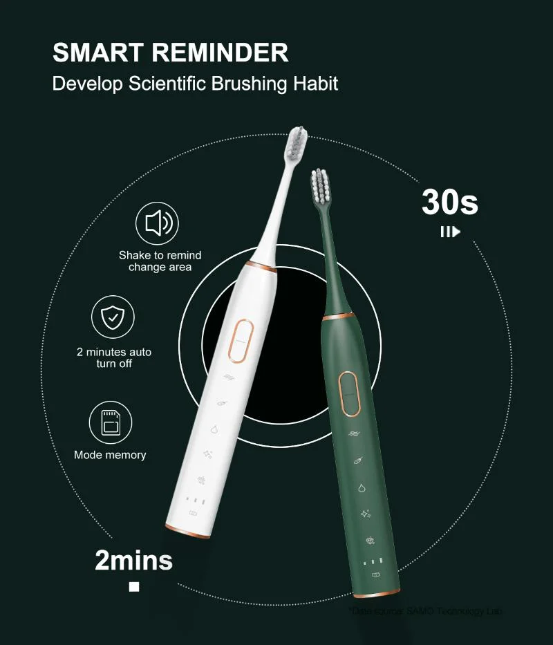 Rechargeable Head Case Ultrasonic Smart Dental Cleaner Sonic Electric Toothbrush