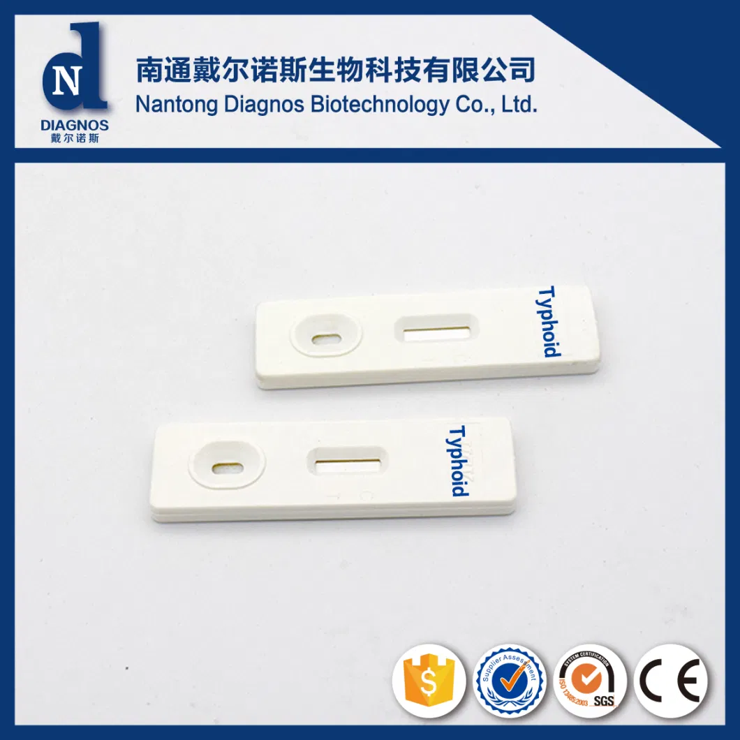 Medical Disposable Diagnostic Typhoid Igg/Igm Rapid Fever Test Kit