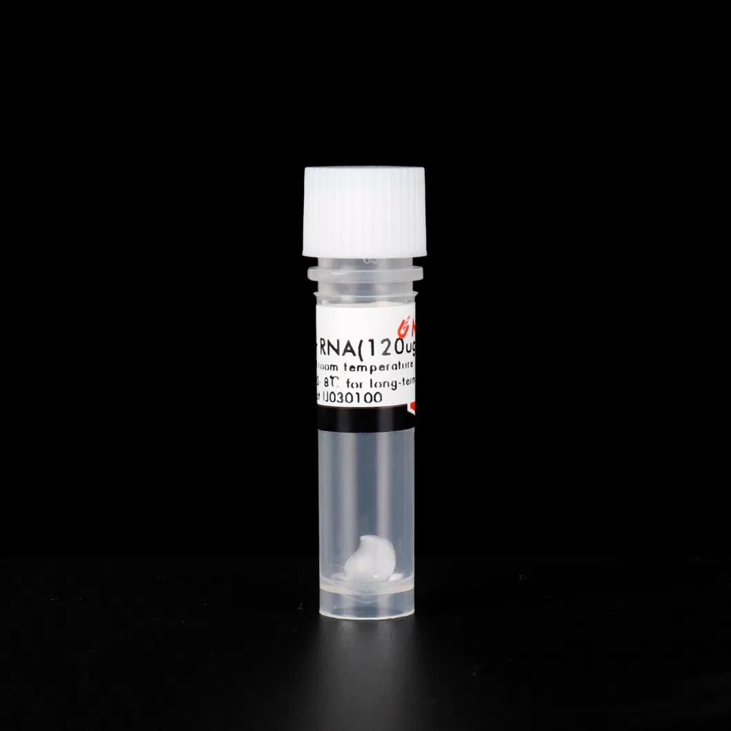 Hipure Fastfilter Plasmid MIDI Kit 250&mu; G Plasmid DNA