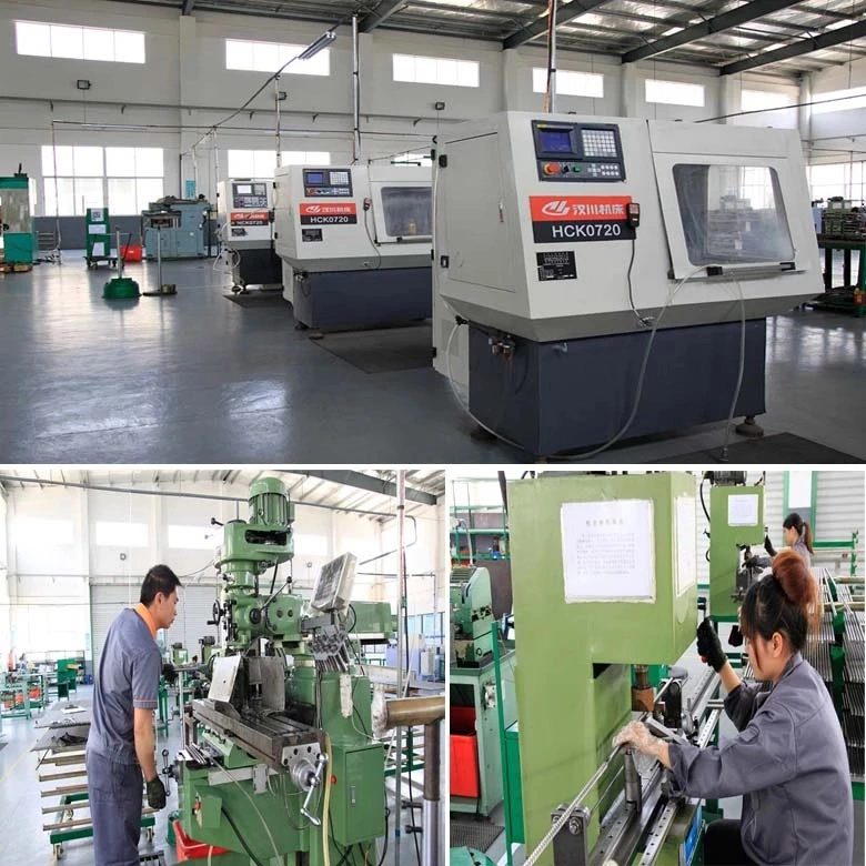 Zs Factory Price High Precision Lead Screw Factory Price for Automation