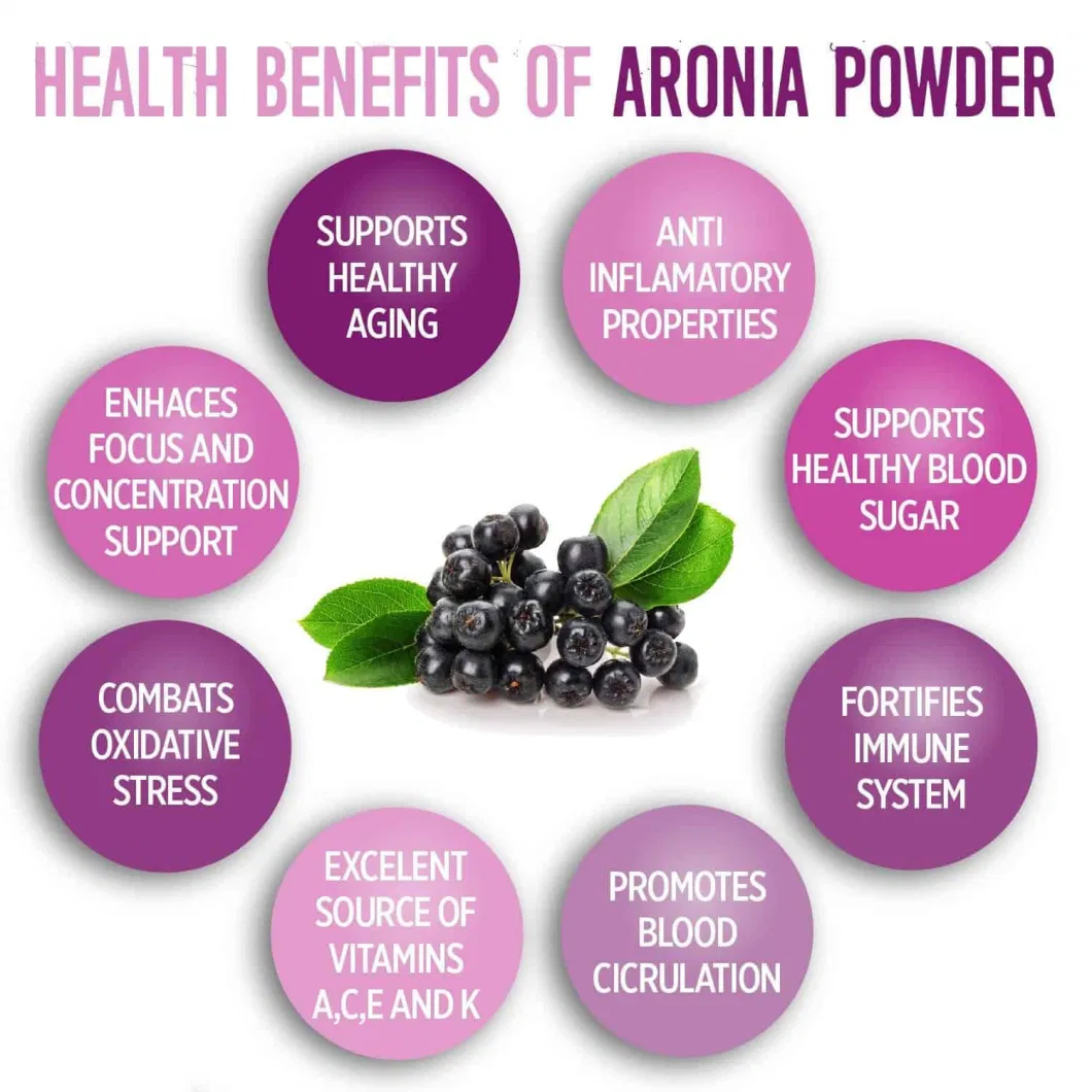 Wild Cherry Berry Extract Powder Aronia Extract Aronia Melanocarpa Powder