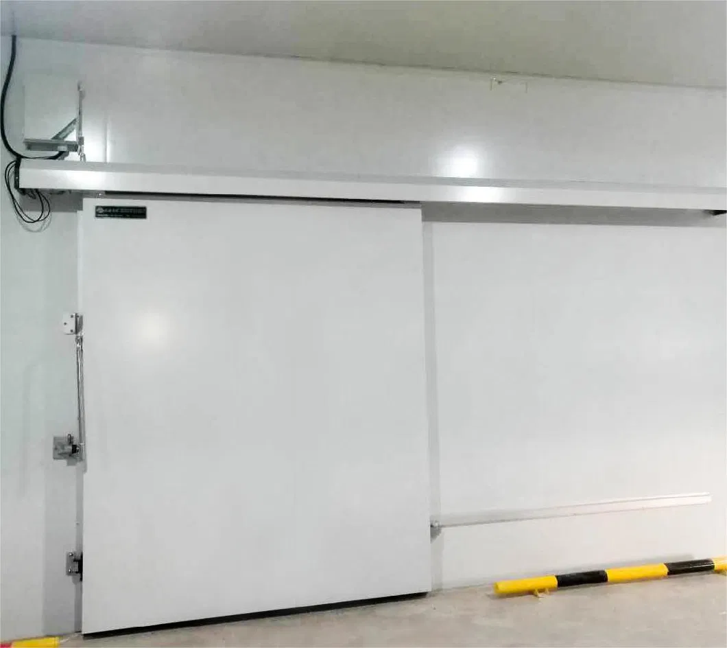 Xingxing Large / Medium / Small Pharmaceutical Cold Storage Walk in Chiller