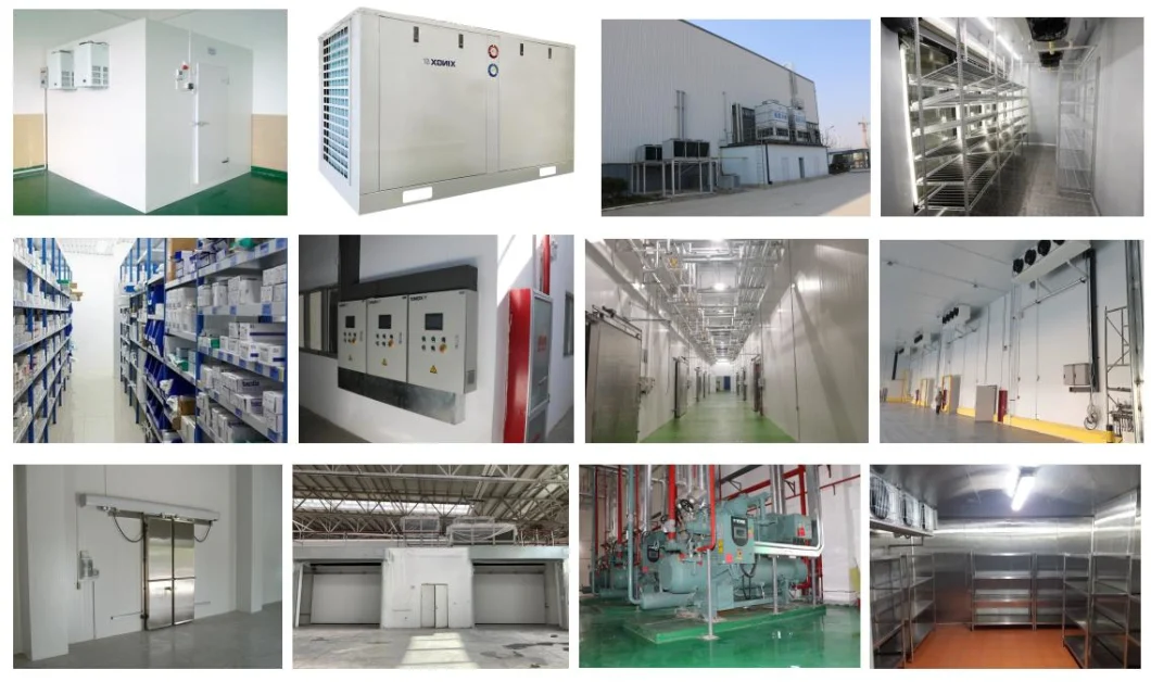 Xingxing Reliable and Good Quality Medical Cold Storage Cold Room Walk in Chiller