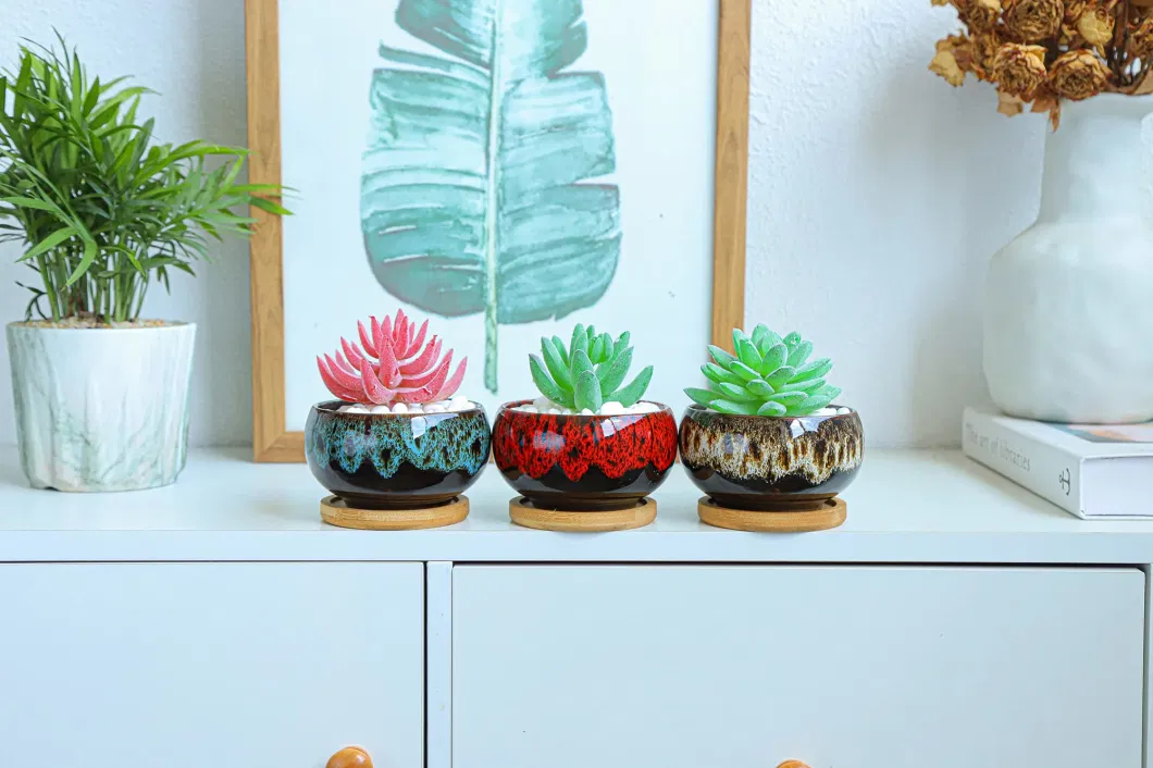 Cute Ceramic Succulent Garden Pots Drainage Attached Saucer Planter