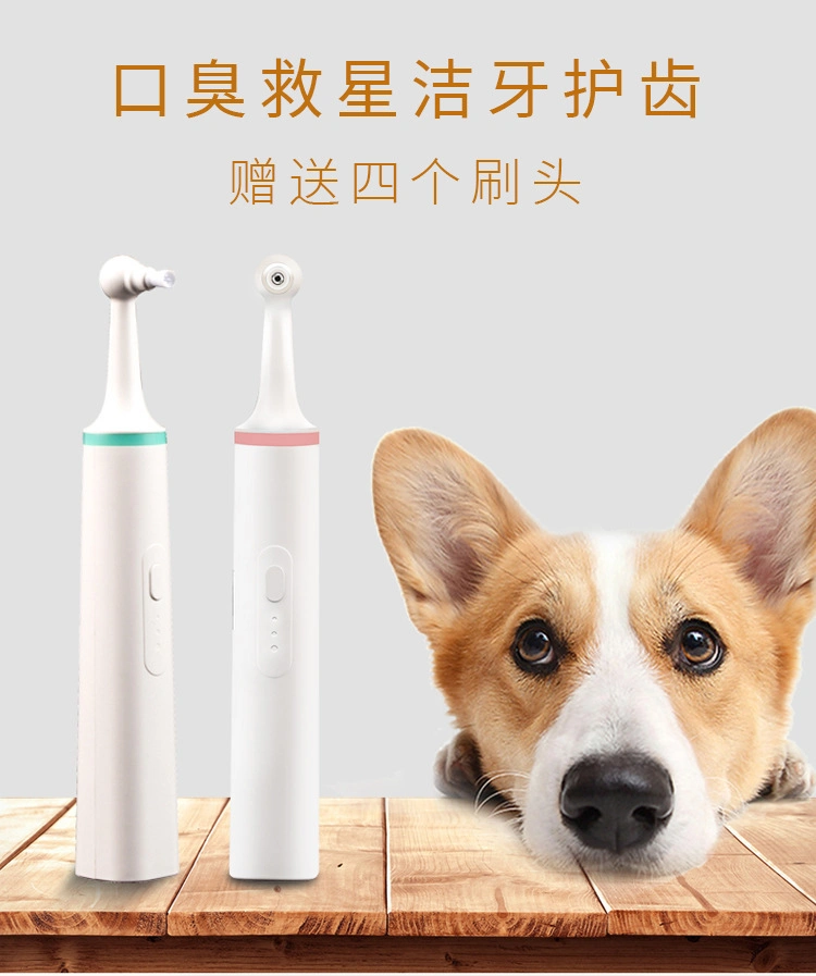 Pet Electric Toothbrush Tooth Cleaner Polisher Teddy Cat Dog Oral Cleaning Tool