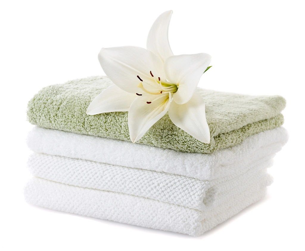 Luxury Customized Face Terry Towel 100% Cotton Embroidered Washcloth/ Hotel Bath Towel (05)