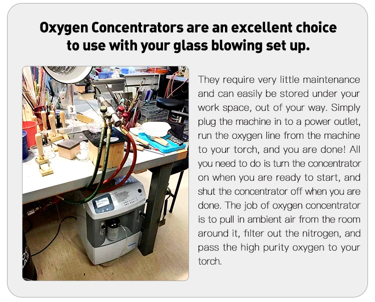 CE certificate glass blowing oxygen concentrator 10L