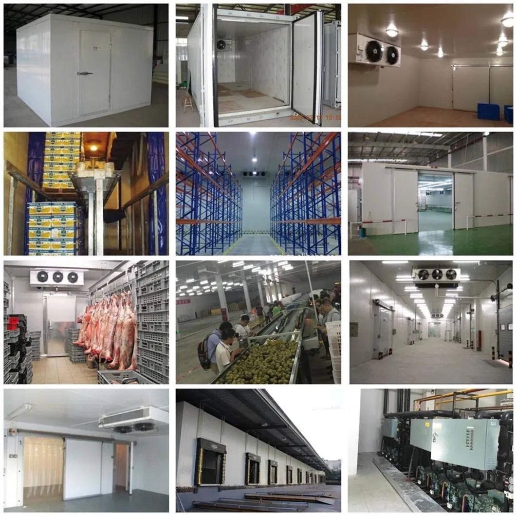 Xingxing Large / Medium / Small Pharmaceutical Cold Storage Walk in Chiller