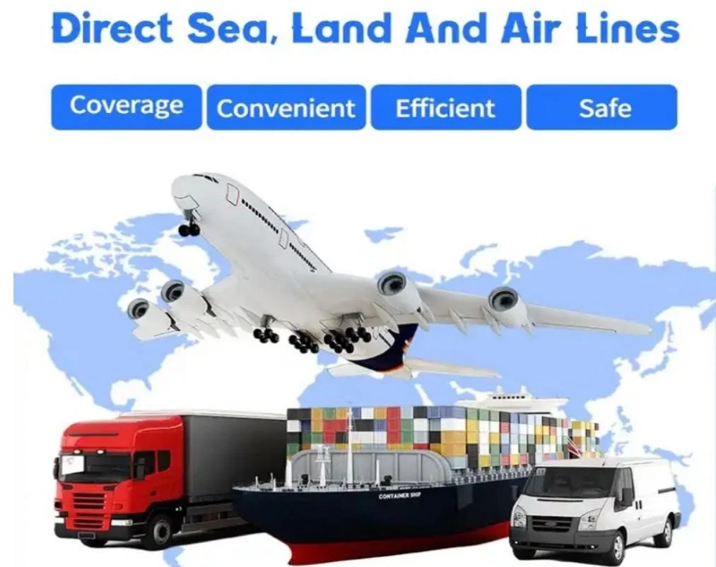 China Freight Forwarder Shipping Service to Worldwide Shipping Agent