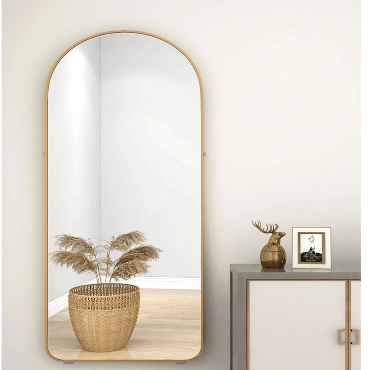 Full Body Mirror Freestanding Wall Mounted Mirror for Bedroom Living Room