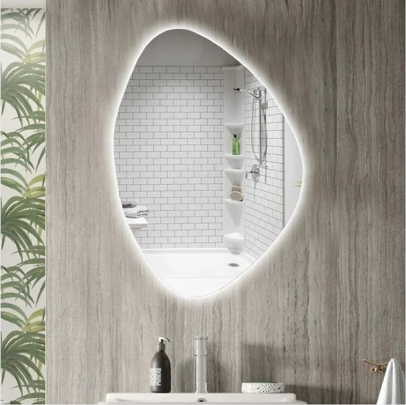 Waterproof Dimmable Lighting LED Wall Mirror Full Length Mirror Floor Mirror Dressing Mirror for Bathroom Bedroom Living Room with Smart Touch Button