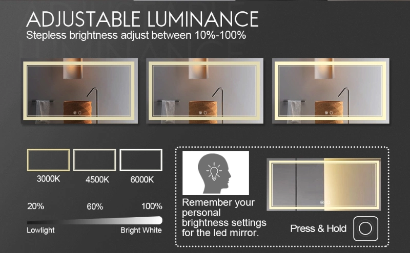 Bathroom Mirror with LED Lights Salon Wall Mirror Gold Frame Smart Mirrors