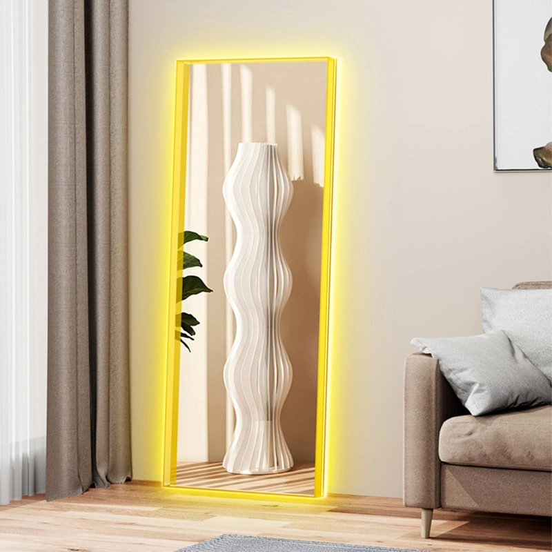 Acrylic Color Frame LED Full Body Mirror Luminous Fitting Makeup Mirror