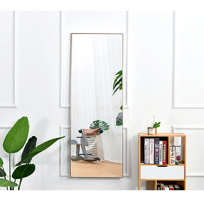 Aluminum Alloy Full Body Floor Mirror Household Modern Minimalist Dressing Mirror 0022