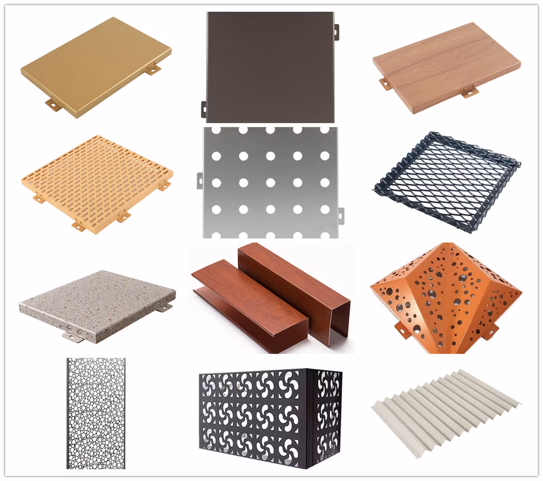Customized Aluminum Veneer with Different Special Shape Aluminum Veneer Curtain Wall Panel
