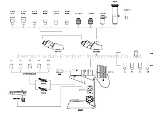 1000X Metallurgical Microscope Intc-LV11 Upright for Metal Structure Observation with USB Camera