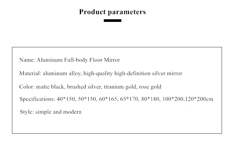 Aluminum Alloy Full Body Floor Mirror Household Modern Minimalist Dressing Mirror 0022