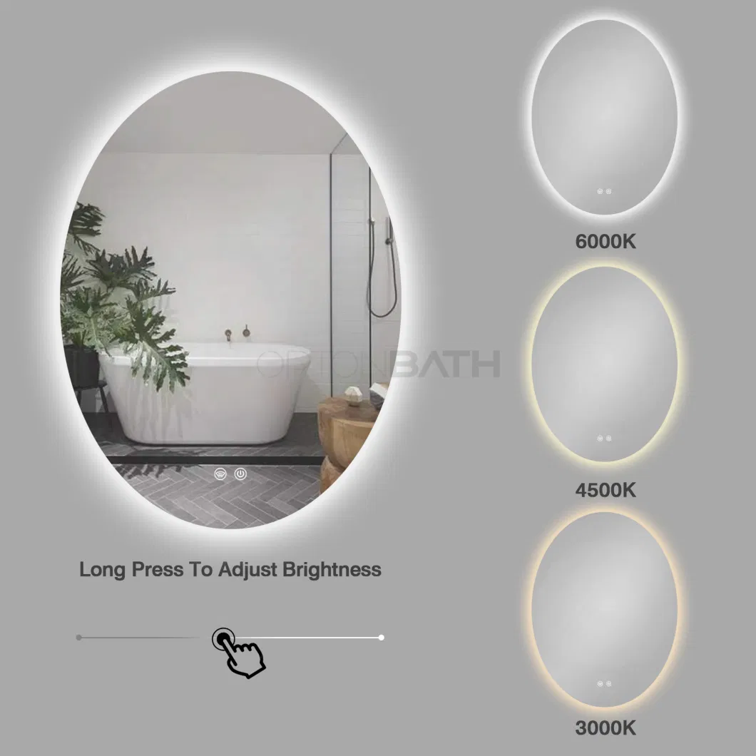 Ortonbath Oval Ortonbath Rectangle Frameless Touch Control IP67 Diammable LED Bathroom Mirror