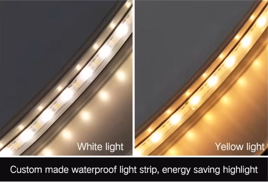 30X Magnifying Mirror with Light and Fogless Shower Mirror with Three Lights