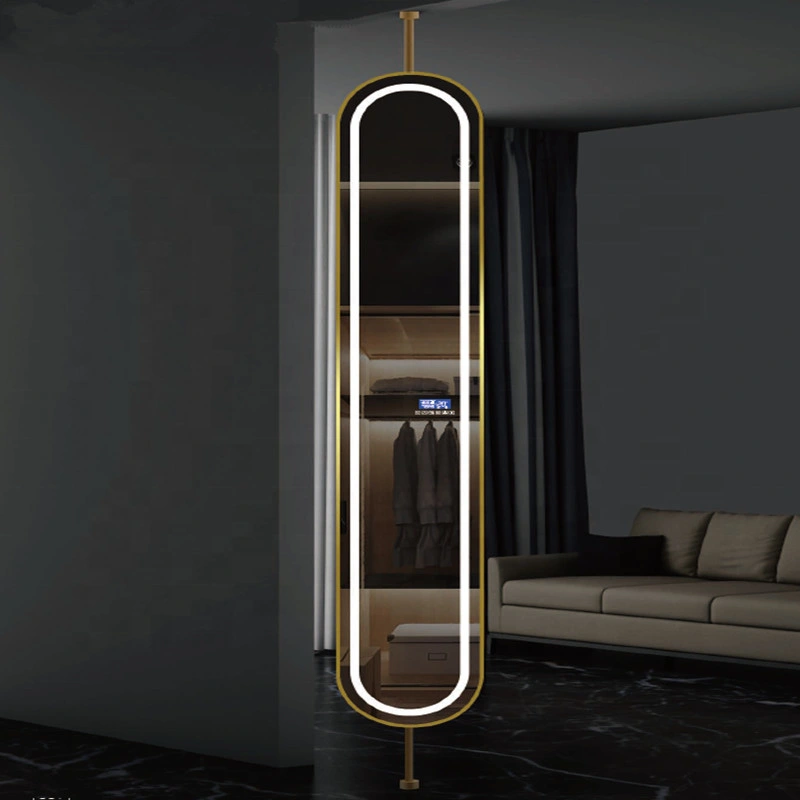 Modern Stainless Steel Frame Wall Standing Floor Full Length Mirror Gold