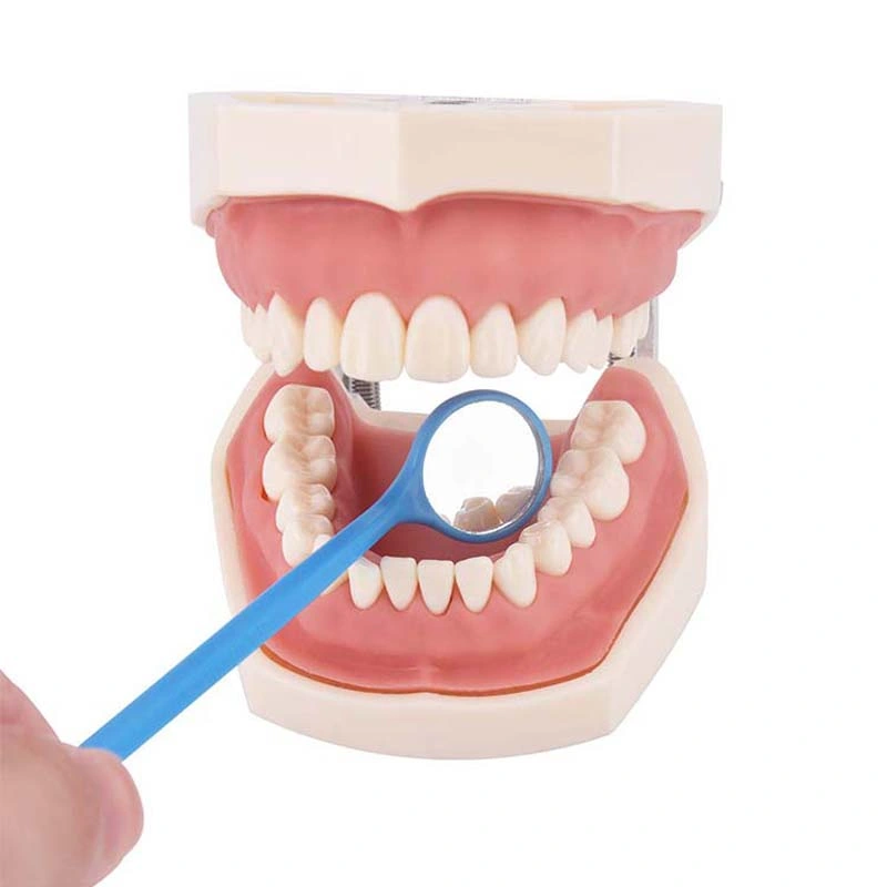 Colored Magnifying Dental Mouth Mirrors Anti Fog Lens