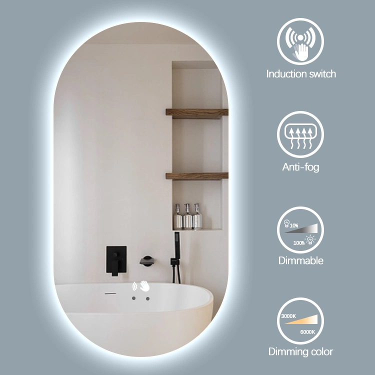 Shower Mirror Pill Shape Black Gold Framed Bathroom Mirror with LED Lighted Wall Mounted