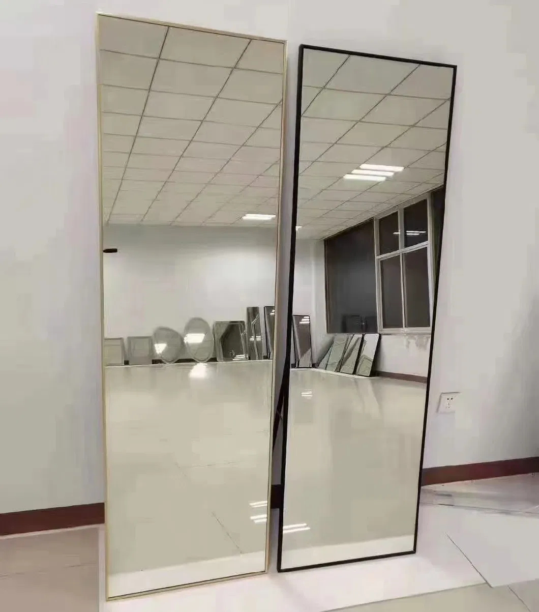 Full Length Floor Mirror with Stand Dressing Mirror 50X160cm