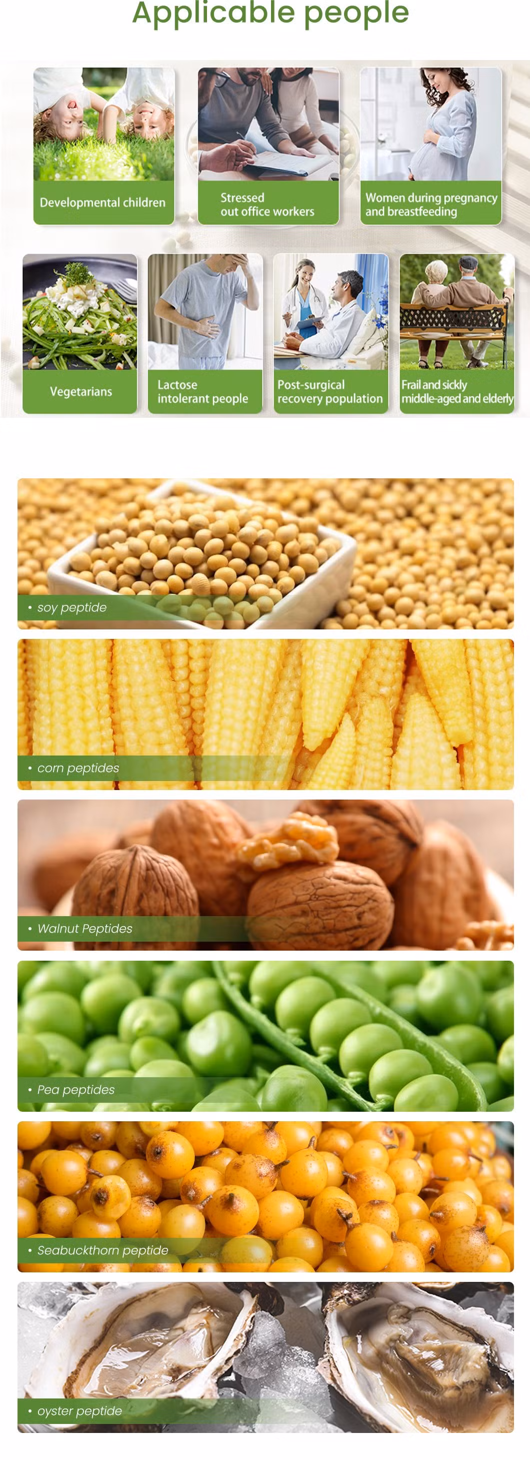 Haoxiang Wholesale Bulk High Purity Pea Peptides in Immune and Anti-Fatigue Customized Clear Hydrolyzed Instant Textured Isolate Peabean Peptides Protein Powder
