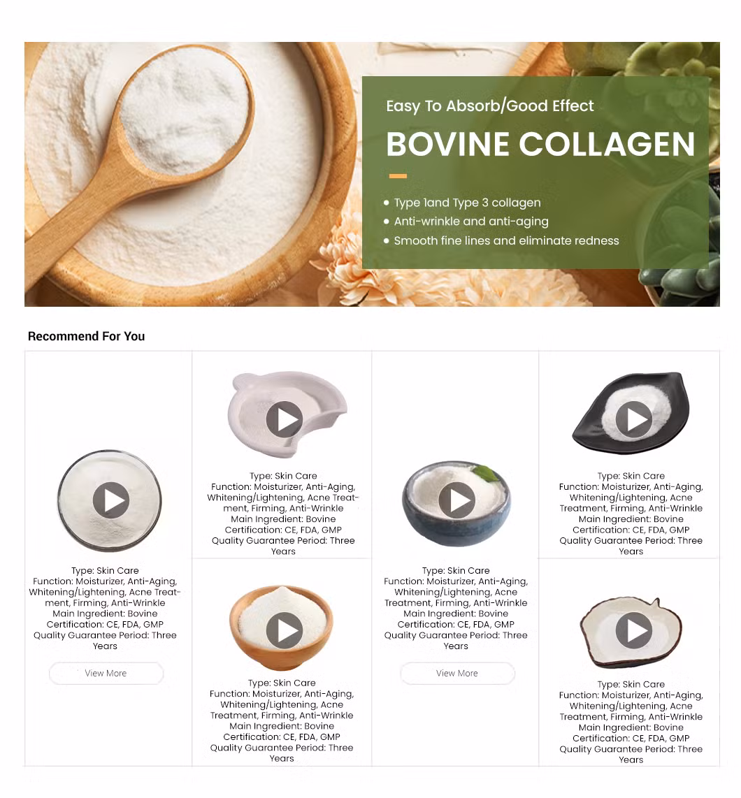 Haoxiang Bovine Hide Collagen Peptides Powder High-Purity Hydrolyzed Bovine Hide Collagen China Manufacturering Wholesale Custom Multiple Collagen Protein