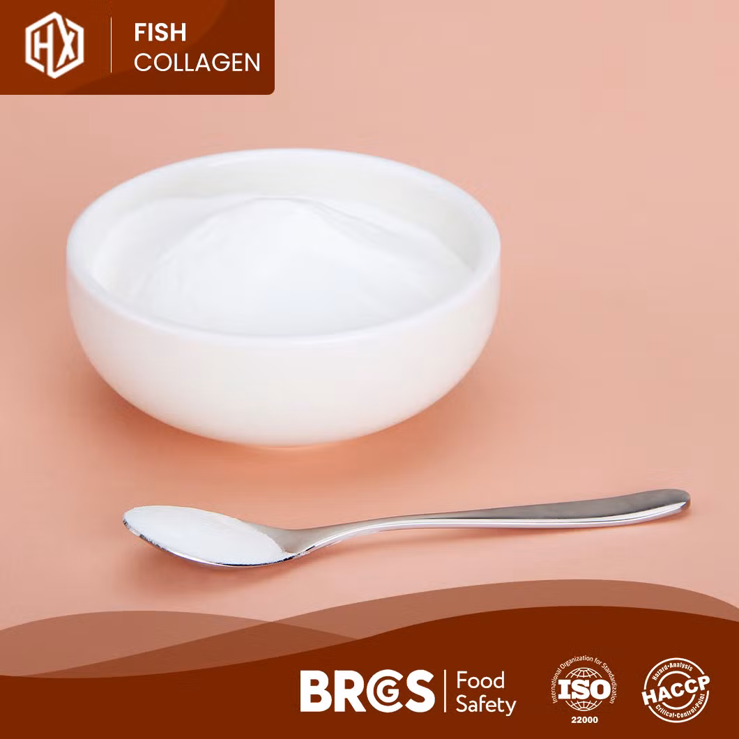 Haoxiang Fish Scales Collagen Peptide Manufacturer Hydrolyzed Pure Collagen Bulk Stock Add Natural Flavors According Different Flavors Slightly Fishy Collagen