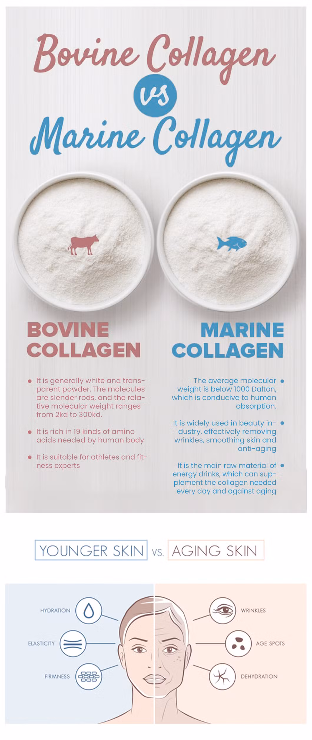 Haoxiang Bovine Hide Collagen Peptides Powder High-Purity Hydrolyzed Bovine Hide Collagen China Manufacturering Wholesale Custom Multiple Collagen Protein