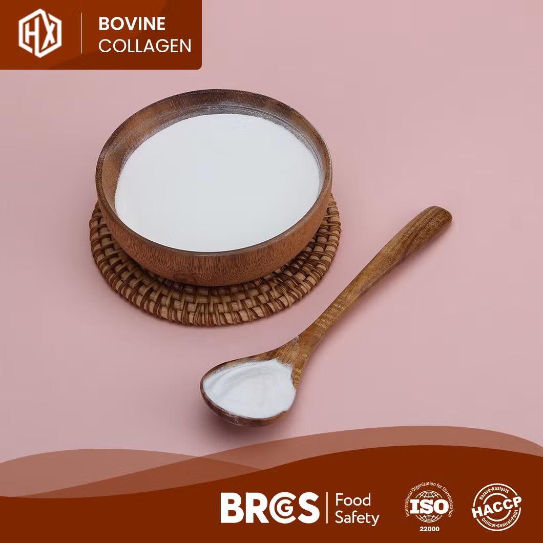 Haoxiang Bovine Hide Collagen Peptides Powder High-Purity Hydrolyzed Bovine Hide Collagen China Manufacturering Wholesale Custom Multiple Collagen Protein