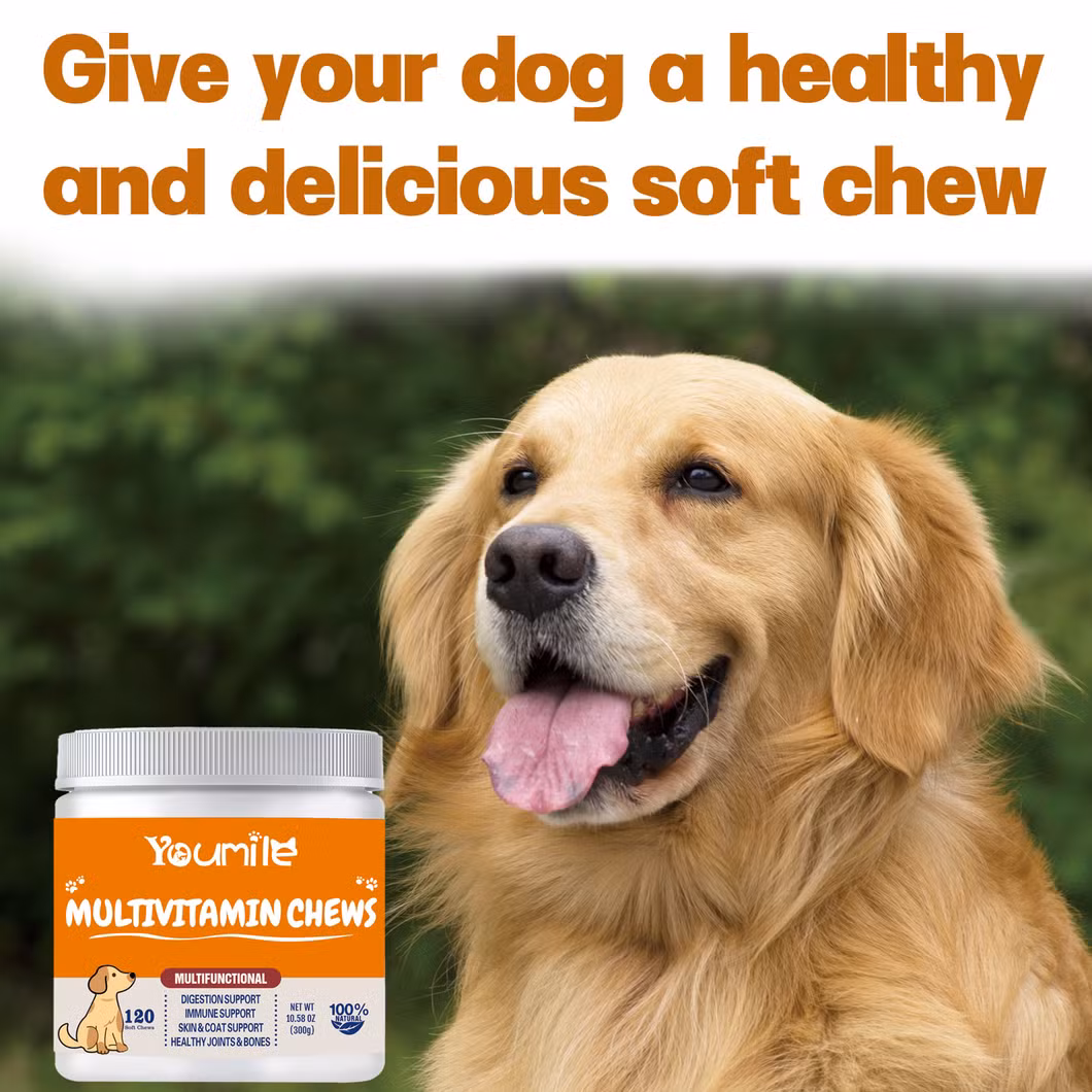 Pet Probiotic Supplement for Dogs&rsquor; Digestive Health, Supports Gut Flora and Immunity