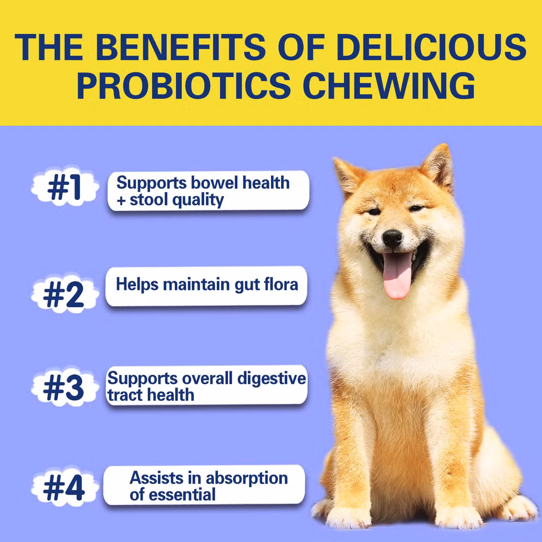 Pet Probiotic Supplement for Dogs&rsquor; Digestive Health, Supports Gut Flora and Immunity