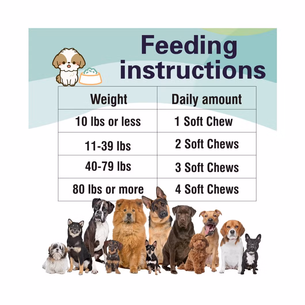 Pet Probiotic Supplement for Dogs&rsquor; Digestive Health, Supports Gut Flora and Immunity