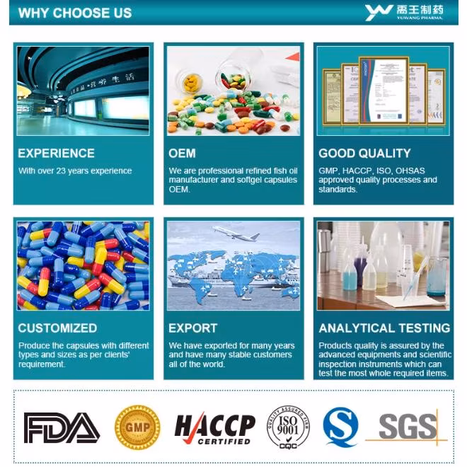 GMP Halal FDA Certificate OEM Supplement for Women and Child Relieve Visual Fatigue Omega 3 Algae DHA Oil Softgel