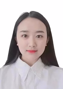 Factory Sale Kazoku Auto Parts Gas Front Car Shock Absorber Amortiguadores 333156 for Korean Brand Hyundai Pony (X-2) KIA Auto-Parts