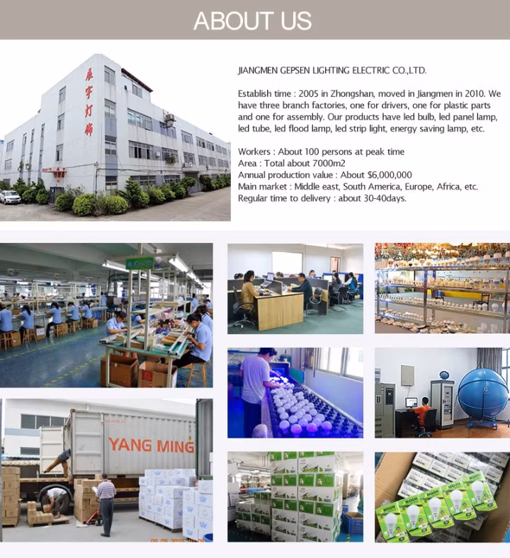 China Factory Manufacturer Global T Corn Light Rechargeable Emergency 5W 10W 20W 30W 40W 50W 60W GU10 E27 B22 Solar Spot Lamp Lighting Dimmable LED Bulb