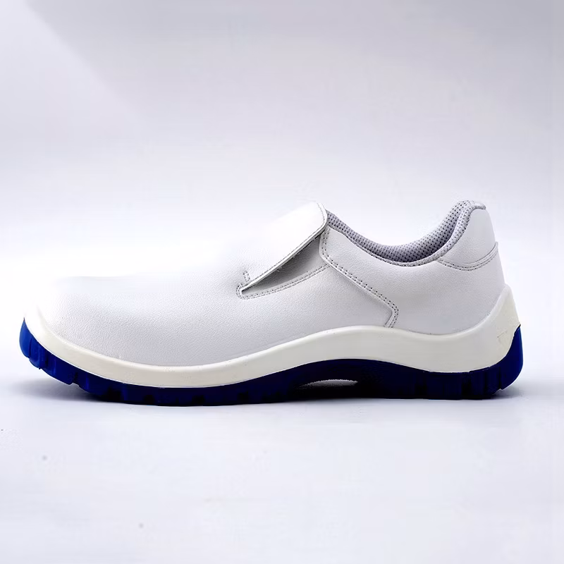 Anti Static Steel Head Dust-Free Workshop Safety Work Shoes