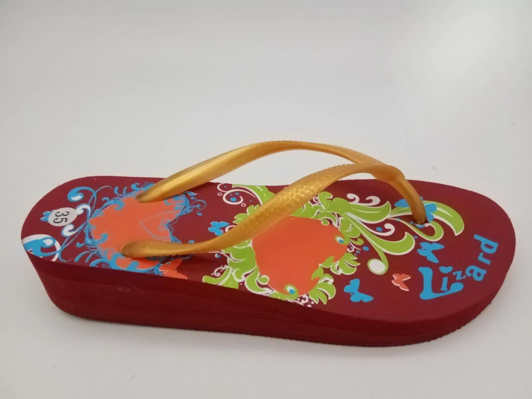 Three Color Lady Seabeach Shoes Casual Walking Shoes Garden Stock Slippers (NO. 62338)