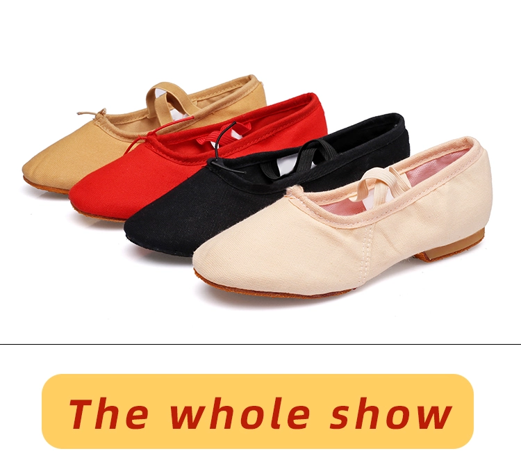 Soft Ballet Shoes Canvas Ballet Slipper Dance Shoes for Toddler/ Girls/ Women