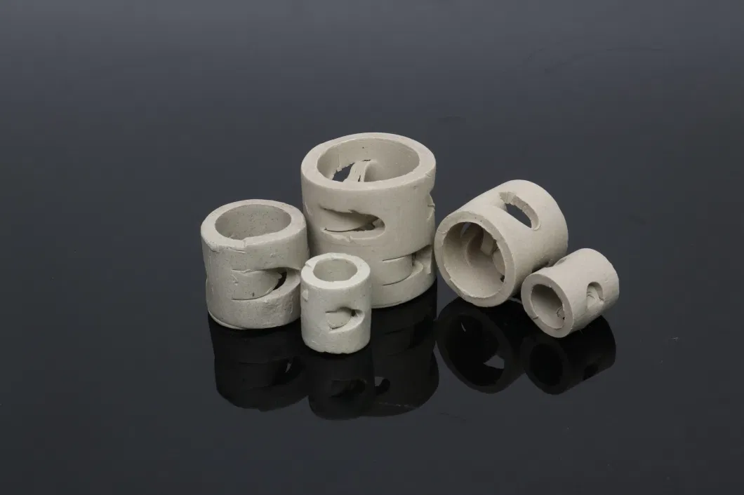 Ceramic Random Packing Ceramic Pall Ring for Tower Packing in Chemical