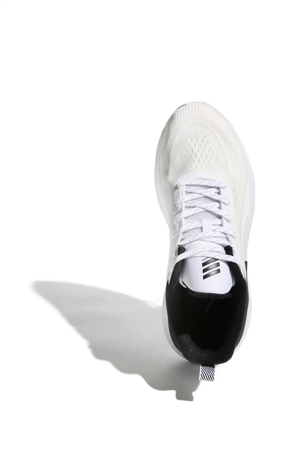 Popular Sports Shoes Flat Sole Elastic Lace up Sneaker Walking Style Shoes Unisex Fashion Footwear