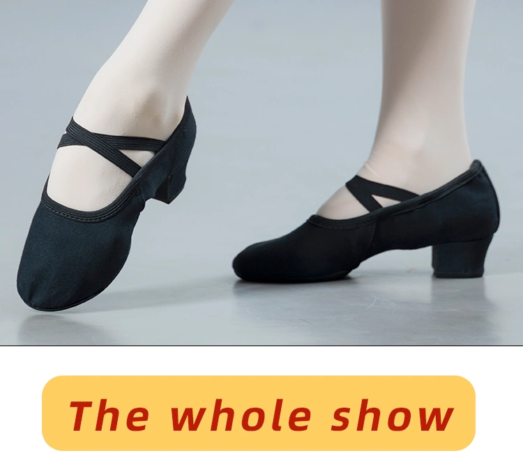 Outdoor Lace-Free Teacher Dancing Shoes with Black Soft Sole of 134