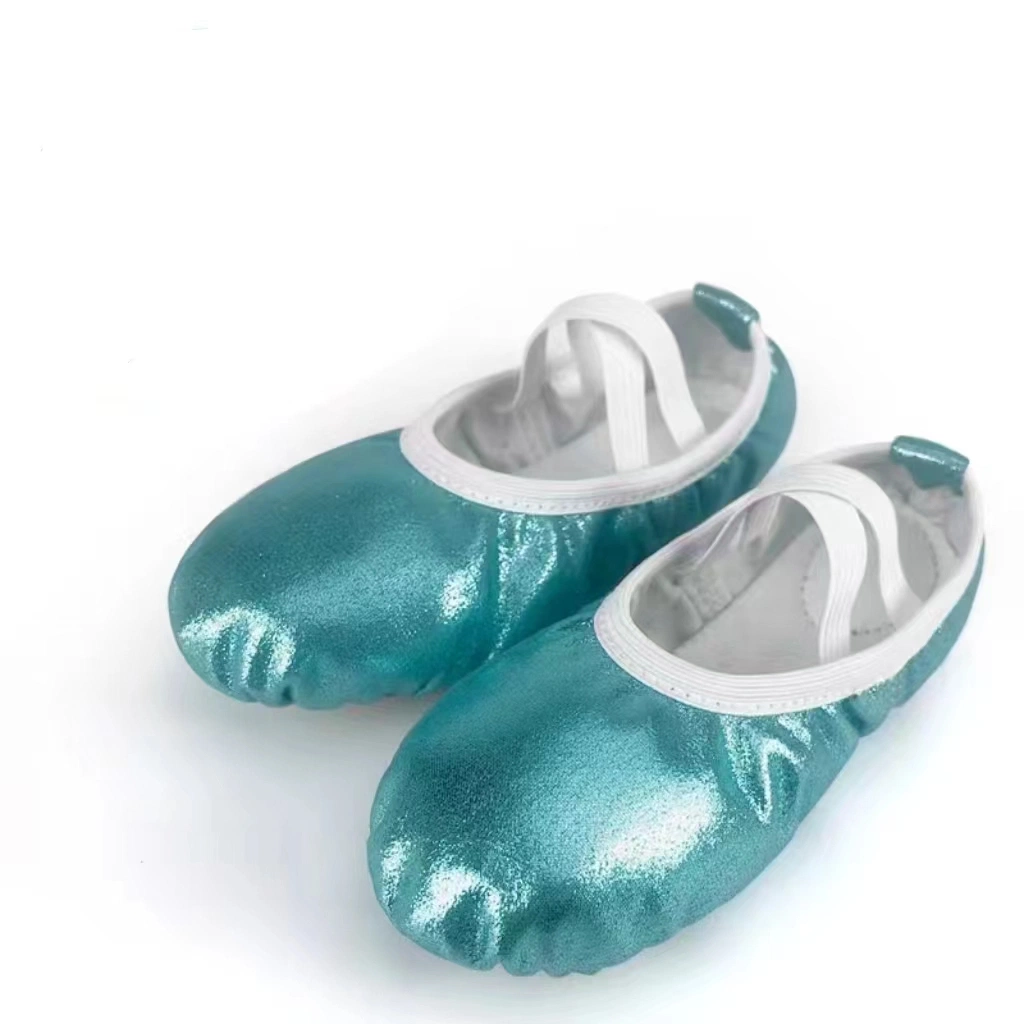 Fashionable Hot Sales Colorful Blue Sliver Glitter Stretch Beautiful Dance Practice Ballet Flat Shoes