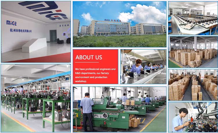 Small Electric Motor 220V 730W Single Phase CNC Machine Mige Servo Motor