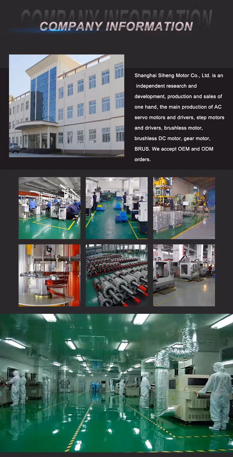 Siheng 220V AC Servo Motor Driver 1kw, 1.2kw, 1.5kw, 1.8kw, 2kw, 2.3kw, Spindle Motor for Sew Achine