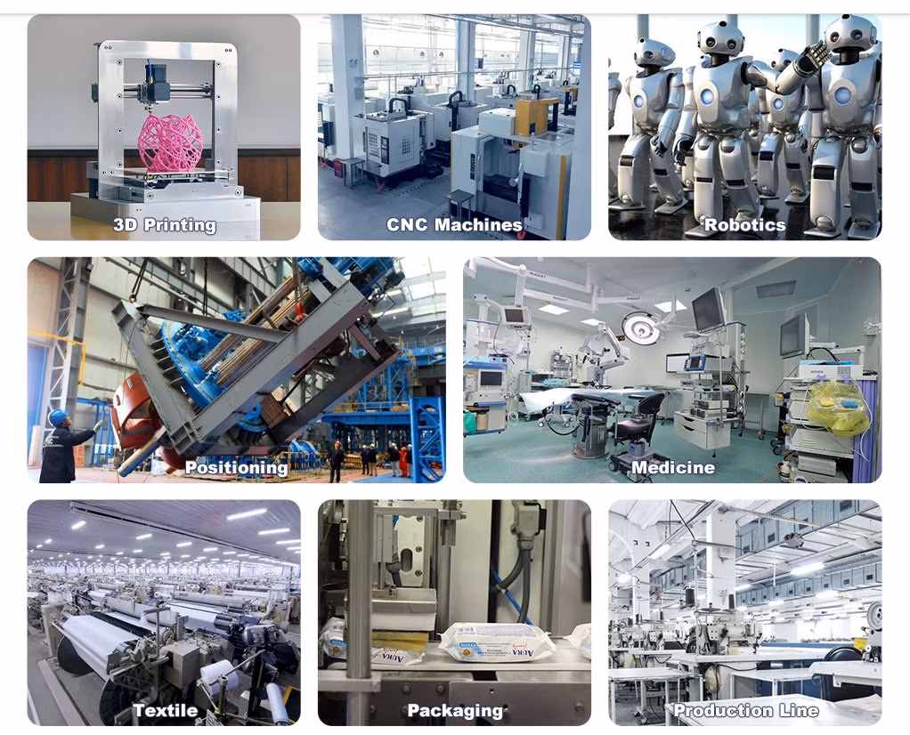 Customized Heavy Duty Linear Actuator with 3000W/7500W Servo Motor